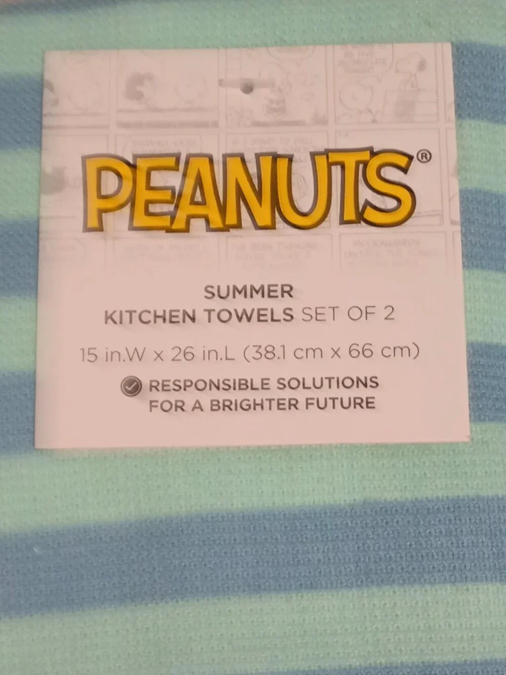 NWT ~ Celebrate Together Peanuts' Snoopy 2 Pack Summer Themed Kitchen Towels